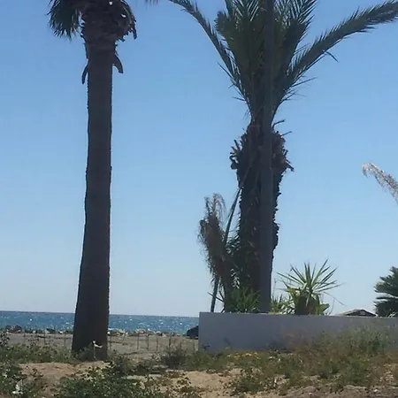 Blue Haven
